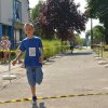 Falunap 2017